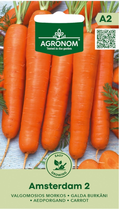 Marchew Amsterdam 2 odmiana wczesna i bardzo plenna nasiona 3g AGRONOM sklep rajogrodnika